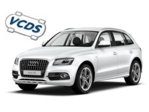 Q5 (8R) Q5 (8R)