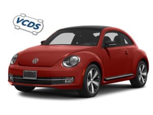 BEETLE (5C) BEETLE (5C)