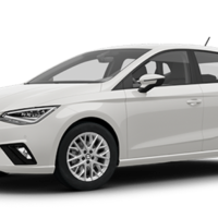 VAG Coding VCDS ODBeleven Seat Ibiza 6F