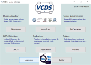 VCDS: Operation and use